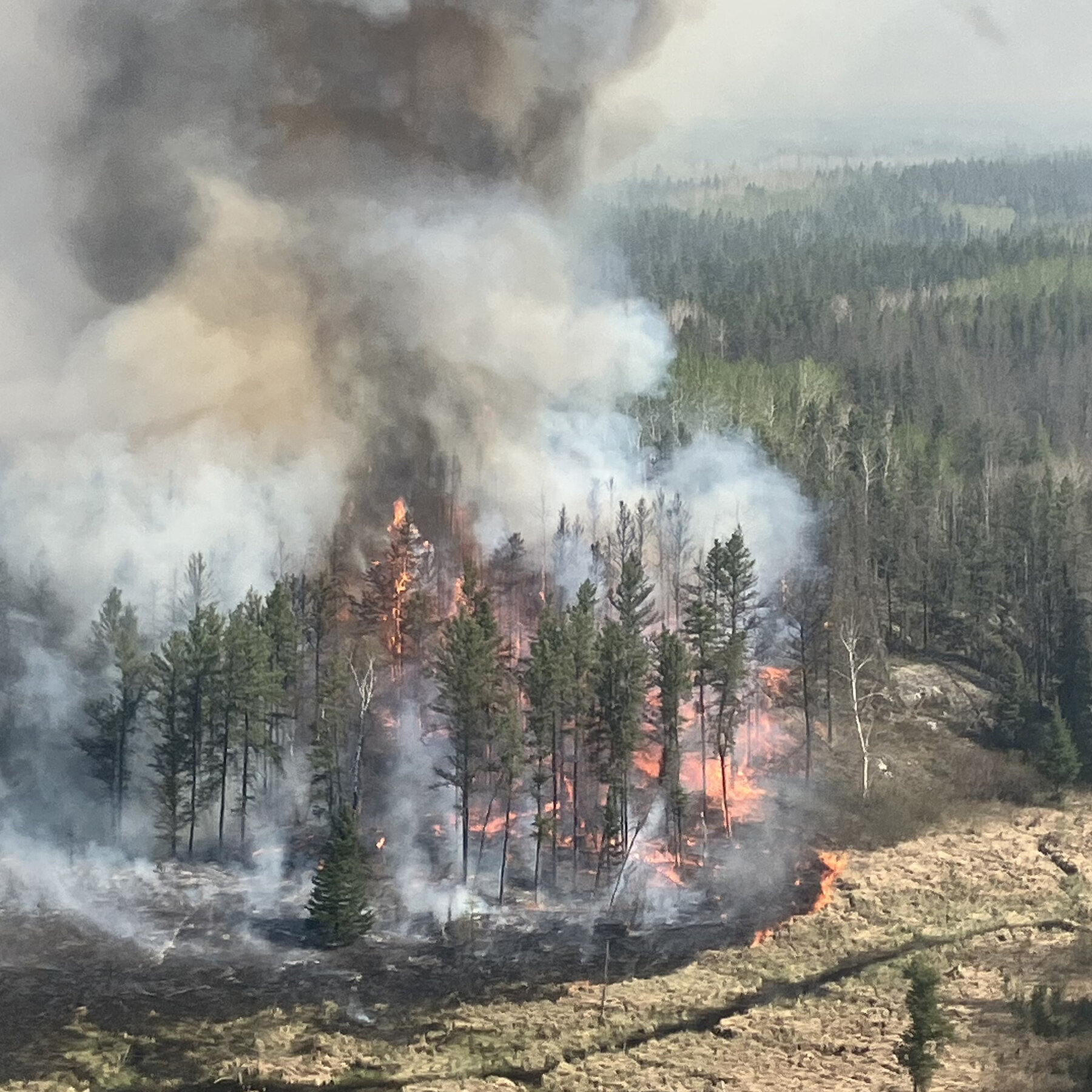 Wildfire